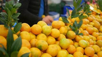 des oranges dans le supermarché. mûr des oranges video