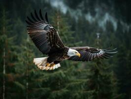 ai generado americano calvo águila en el naturaleza antecedentes foto