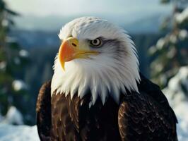 ai generado americano calvo águila en el naturaleza antecedentes foto