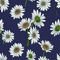 Seamless pattern with daisies, chamomiles, chrysanthemums on a dark blue background. idea for wrapping paper, background or card vector