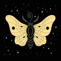 Moth with Sacred Geometry Mystical Symbol vector