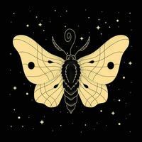 Moth with Sacred Geometry Mystical Symbol vector