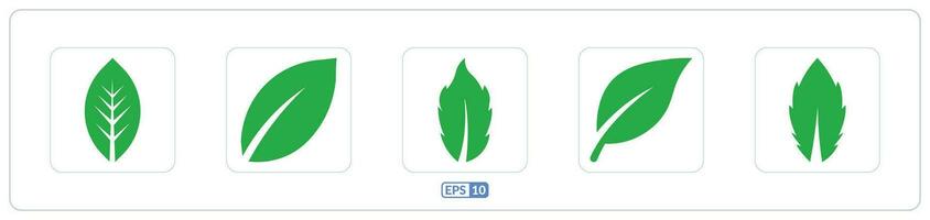 Ecology green leaf color flat icon vector