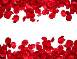 Background with Rose petals photo