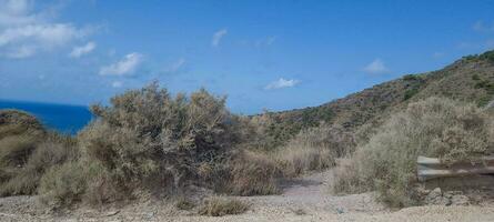 Scenic coastal landscape with shrubs, blue sky, and a glimpse of the sea in the background. photo