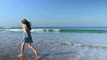 caucasiano pequeno menina corrida descalço em uma lindo arenoso praia, desfrutando andar ao ar livre em ensolarado dia. feliz criança desfrutando a ondas batendo em a costa e se escondendo dela passos ela folhas quando corre video