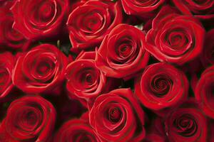 AI generated Red Rose Background for Valentine's Day. AI Generated photo