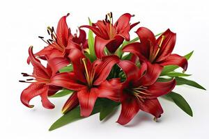 AI generated Red Lilies isolated on white background. AI Generated photo