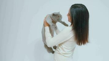 A young woman is holding lovely cat , playing with cat in studio on white background video