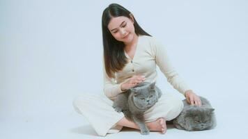 une jeune femme tient un joli chat, jouant avec un chat en studio sur fond blanc video