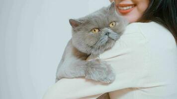 una mujer joven está sosteniendo un gato adorable, jugando con un gato en un estudio de fondo blanco video