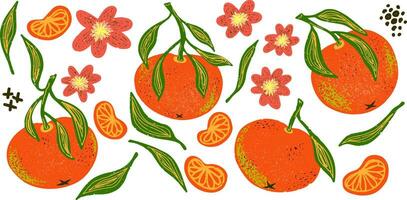 un grupo de naranjas y flores son mostrado vector