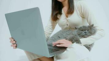 uma dobra escocesa adoráveis gatos deitados na mão de uma jovem enquanto trabalhava com o computador portátil no fundo branco do estúdio video