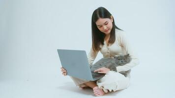 A Scottish fold lovely cats lying on  young woman hand while working with laptop computer on white studio background video