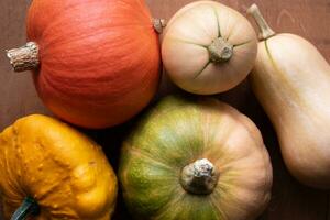 variedad de calabazas en un mesa, nuez moscada, pattypan, calabaza foto