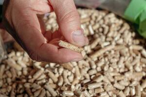 Man holding pellet for stove photo