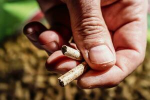 Man holding pellet for stove photo