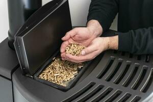 Pellet stove, man holding granules in his hand above a modern black stove photo