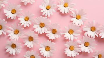 AI generated chamomile flowers on a pink background, top view, spring background photo