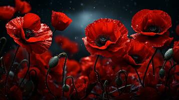 ai generado rojo amapola flores en contra un dramático negro cielo foto