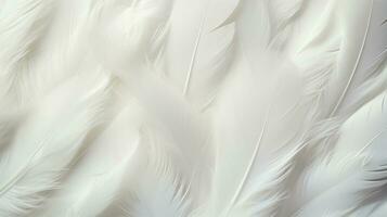 AI generated white feathers delicate backgrounds, top view photo