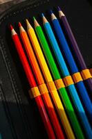 multi-colored pencils in a schoolboy's pencil case photo