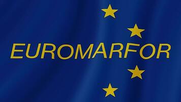 euromarfor agitant drapeau. réaliste drapeau animation. sans couture boucle Contexte video