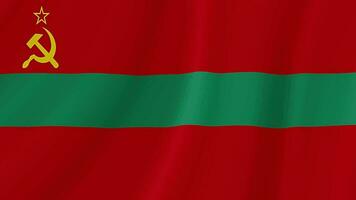 Transnistria Waving Flag. Realistic Flag Animation. Seamless Loop Background video