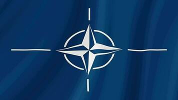 NATO agitando bandiera. realistico bandiera animazione. senza soluzione di continuità ciclo continuo sfondo video