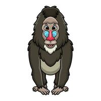Cute mandrill baboon cartoon on white background vector
