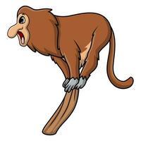 Cute proboscis monkey cartoon on white background vector