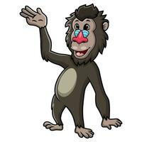 Cute mandrill baboon cartoon on white background vector