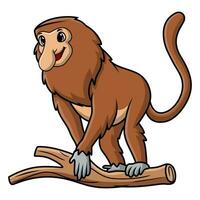 Cute proboscis monkey cartoon on white background vector