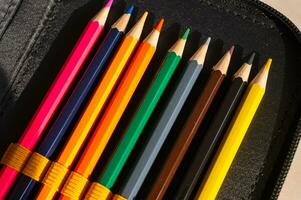 multi-colored pencils in a schoolboy's pencil case photo