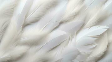 AI generated white feathers delicate backgrounds, top view photo