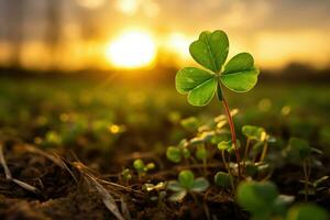 ai generado contento Santo patrick's día hoja trébol trébol cerca arriba con noche puesta de sol en antecedentes. ai generativo foto