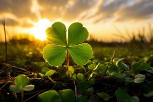 AI generated happy saint Patrick's day leaf shamrock clover close up with evening sunset in background. AI genrative photo