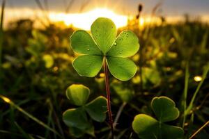 ai generado contento Santo patrick's día hoja trébol trébol cerca arriba con noche puesta de sol en antecedentes. ai generativo foto