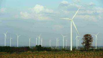 Moulins à vent pour électrique Puissance production, été champ, renouvelable énergie video