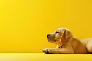 ai generado un perro dormir en suave pastel amarillo antecedentes. ai generativo foto