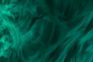 Beautiful dark green viridian vintage color trends feather texture background photo