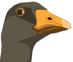 Goose beak isolated vector illustration