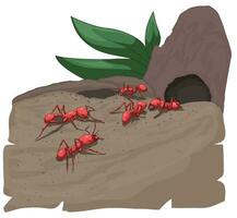 Ants walking towards anthill vector illustration