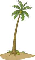 A coconut tree vector illustration