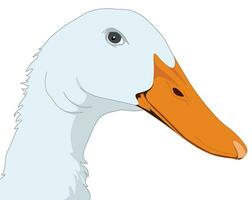 Duck beak isolated vector illustration