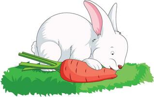 Cute little rabbit eating carrot while sitting on a grass field vector