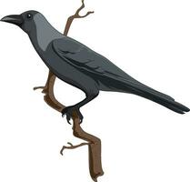 Crow sitting on a branch isolated vector illustration