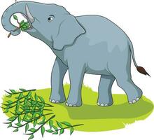 Cute elephant eating leaves vector illustration