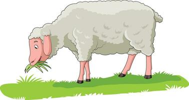 Cute sheep eating grass in a field vector