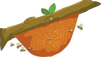 Beehive vector illustration